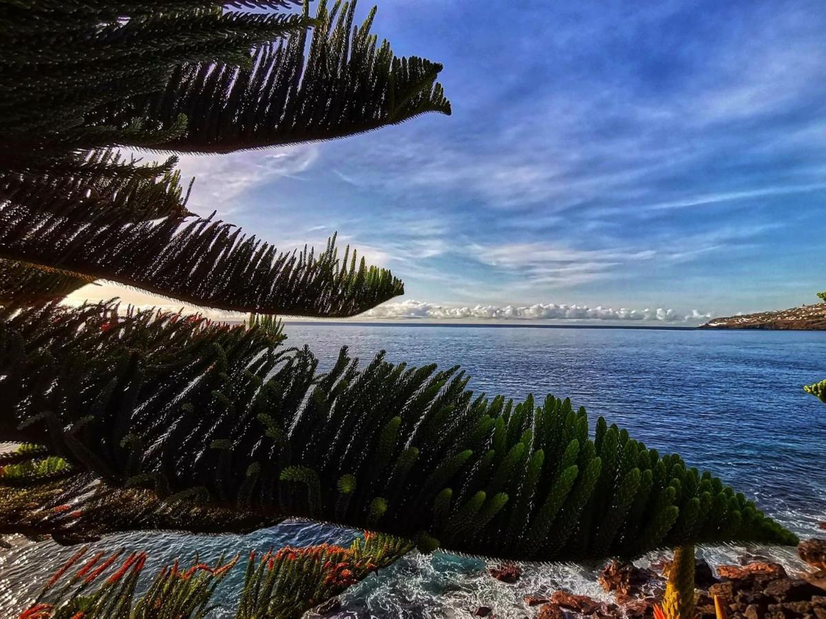 Ines Seaview Apartment Funchal  Luaran gambar